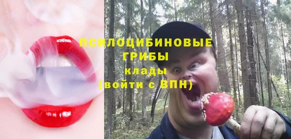 MESCALINE Аркадак